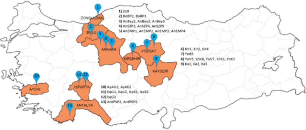 Fig. 1    Map of sampling areas of phytoseiidae species. Numbers indicate the location areas in Table 1