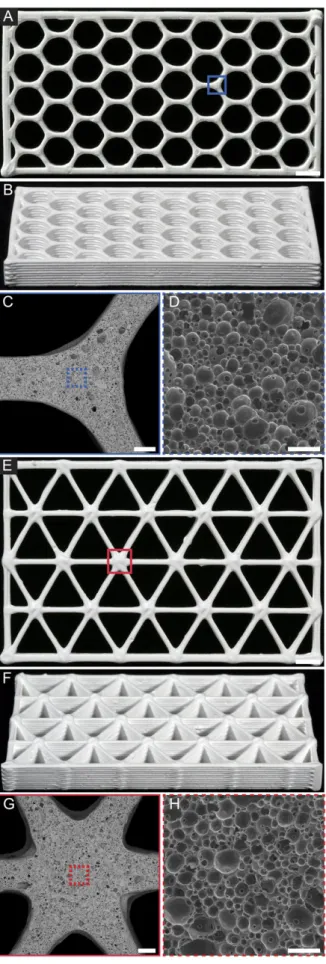 Fig. 3. 3D porous ceramic honeycombs. (A and B) Representative sintered hexagonal honeycomb