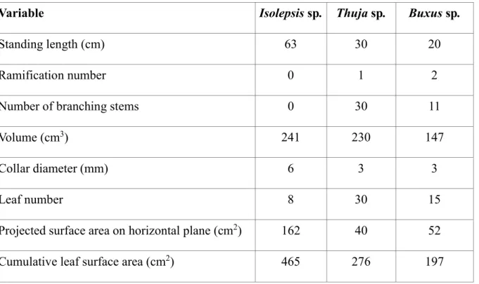 Table 1: Characteristics of the studied artificial plants.  The ramification number was based on  781 
