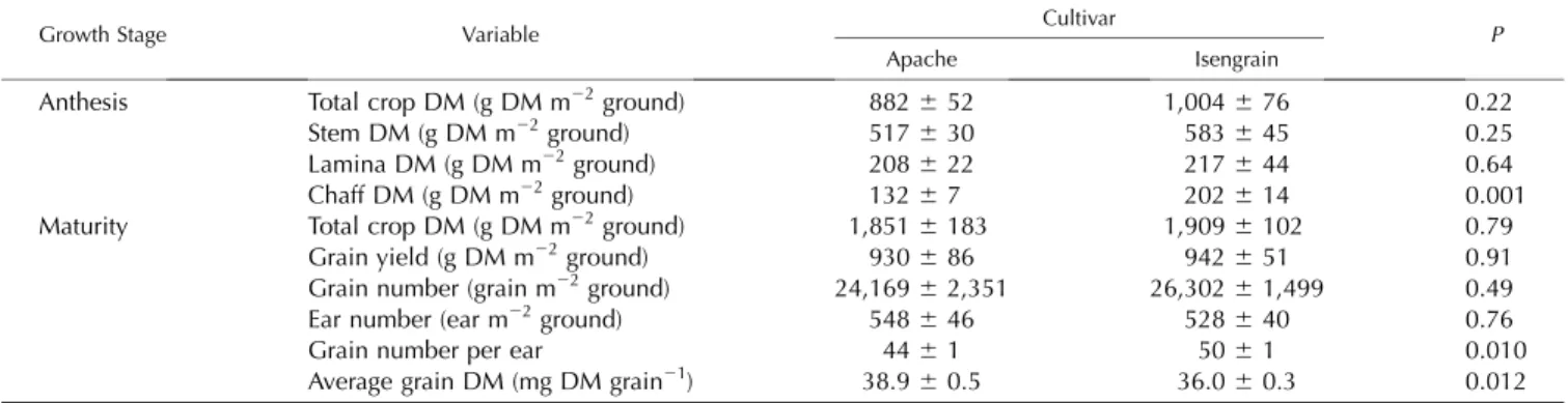 Table I. Crop, stem, lamina, sheath, and chaff dry mass (DM) at anthesis, crop DM and grain yield at maturity, and yield components for the wheat cultivars Apache and Isengrain grown in the field with nonlimiting N supply