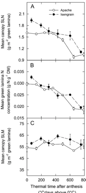 Figure 6 suggests that the relative time course of N concentration was similar for individual laminae and sheaths independent of their age and position in the canopy