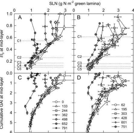 Figure 4. Relative PPFD (A and B) and cumulative GAI counted from the top of the canopy (C and D) versus leaf lamina N mass per unit leaf area at different times (expressed as thermal time; base 0°C) between anthesis and maturity for crops of the bread whe