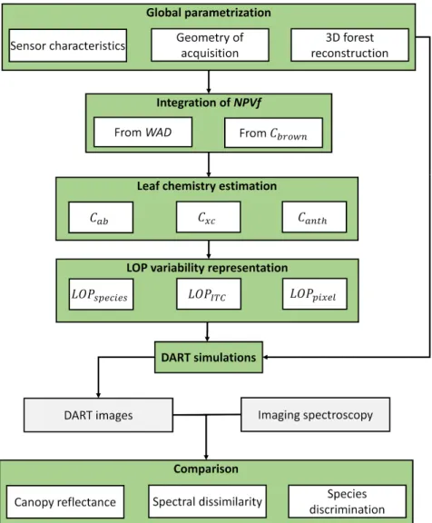 Figure 2. Flowchart of the approach proposed to test the influence of different scenarios for the  integration of non-photosynthetic vegetation fraction (NPVf) and heterogeneity in leaf optical  properties (LOP) when simulating imaging spectroscopy of comp