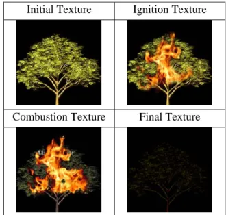 Figure 4. Combustion Phases of a Tree 