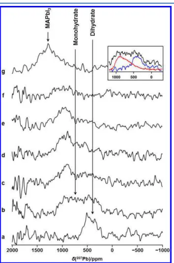 Figure 8. Stationary 207 Pb NMR spectra illustrating the response of the dihydrate 39 to elevated temperatures: (a) a spectrum acquired at 324 K; (b−f) a series of spectra acquired at 336 K in 15 min increments