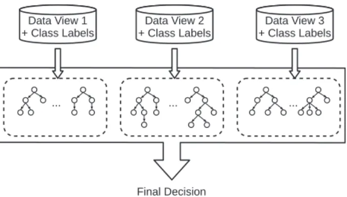 Figure 2. Late integration of multi-view data using ensemble learning (e.g. ran- ran-dom forest).
