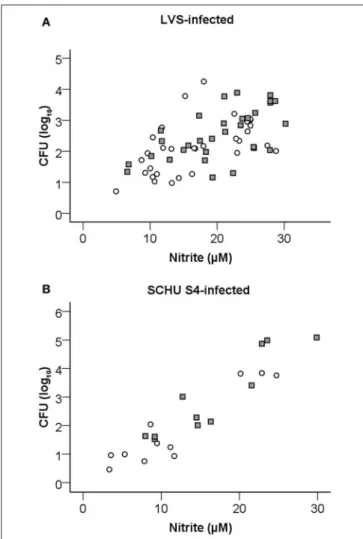 FIGURE 6 | Nitrite levels accumulated after 72 h in cultures with LVS- or SCHU S4-infected BMDM co-cultured with naïve (white boxes), LVS-immune (light gray boxes) or 1clpB-immune (dark gray boxes) splenocytes