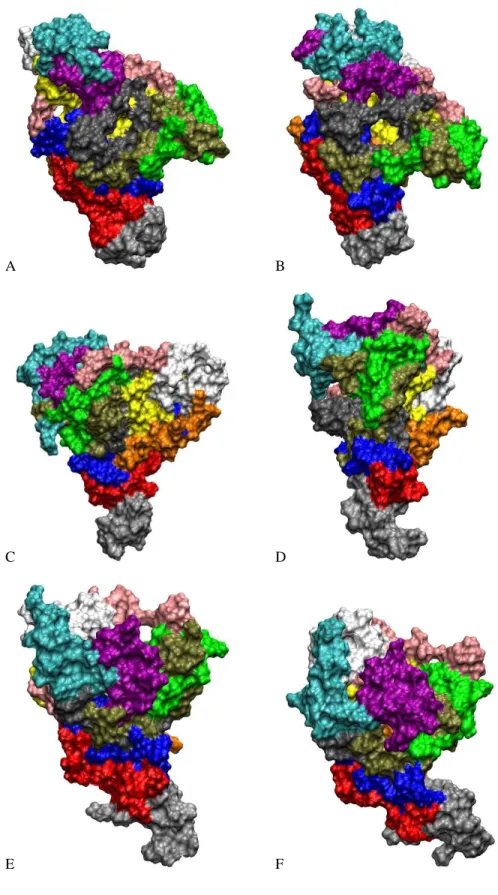 Figure S4: Conformations of systems A3a (A,B), A5a (C,D), and A6a (E,F) after 70 ns (A, C, E) and 200 ns (B, D,  F) of simulations in solvent accessible surface representation with twelve units shown with different colors