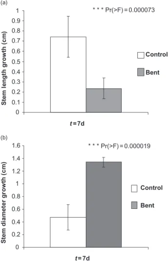 Figure 1. Effects of stem bending on young walnut tree growth.