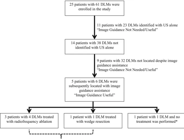 Fig. 2. Intraoperative image guidance use and treatment details