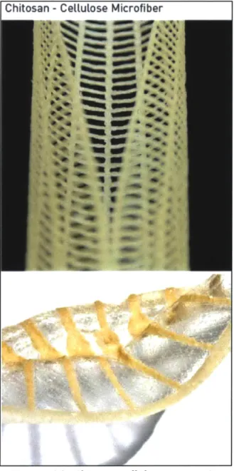 Figure  4.3  Chitosan-cellulose  composites defining  helical  and cylindrical 50cm  and 1m  long grids and surface structures