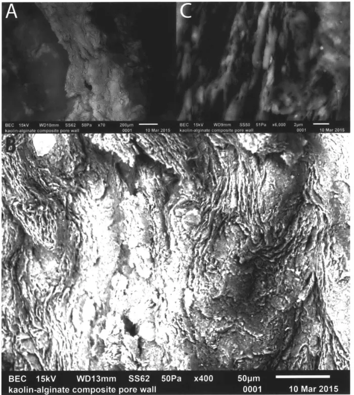 Figure 4.5 Scanning electron microscopy of kaolinite-alginate composite. A  tensile fractured pore wall at 200 micron (A),  50 micron (B),  and 2 micron (C)  scales, showing the size and local alignment of high aspect ratio kaolin platelets