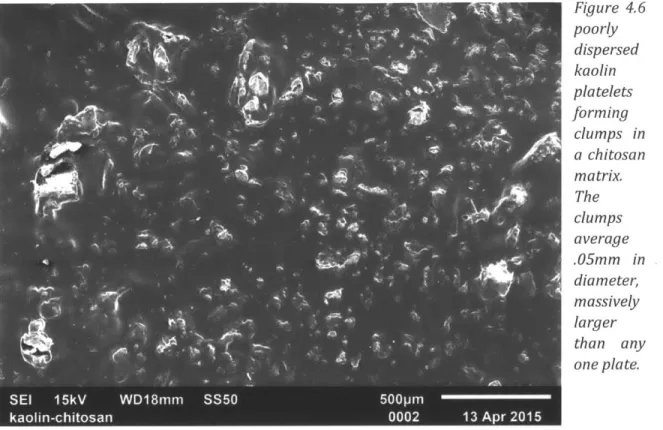 Figure 4.6 poorly _2  dispersed kaolin platelets forming ?  clumps  in a  chitosan matrix