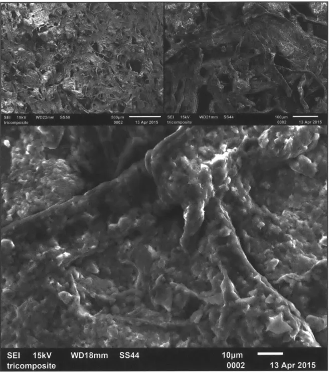 Figure 4.6  Scanning  electron  microscopy of the surface  of a  triple composite sample  at the  500, 100,  10  micron  scales  (top left,  top right, bottom,  respectively)  showing the material's  porosity and  homogeneous  ceramic-gel  matrix  encasing