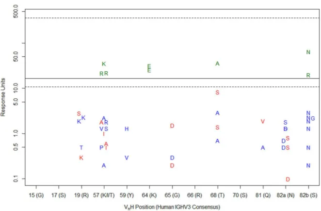 Fig 2. Identification of permissive and non-permissive residues for SpA binding at V H H SpA contact positions