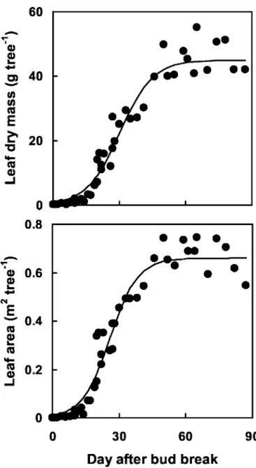 Figure 1. The pattern of leaf growth during 2000. Each point repre- repre-sents one tree at the date of harvest