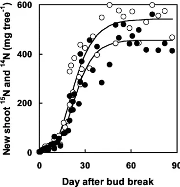 Figure 2. The recovery of labeled (white symbols) and unlabeled (black symbols) N with time after bud break