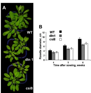 Fig. 6. Flowering time phenotype of ppck1 plants. After 6 weeks of culture, plants were transferred to long-day conditions to induce ﬂowering