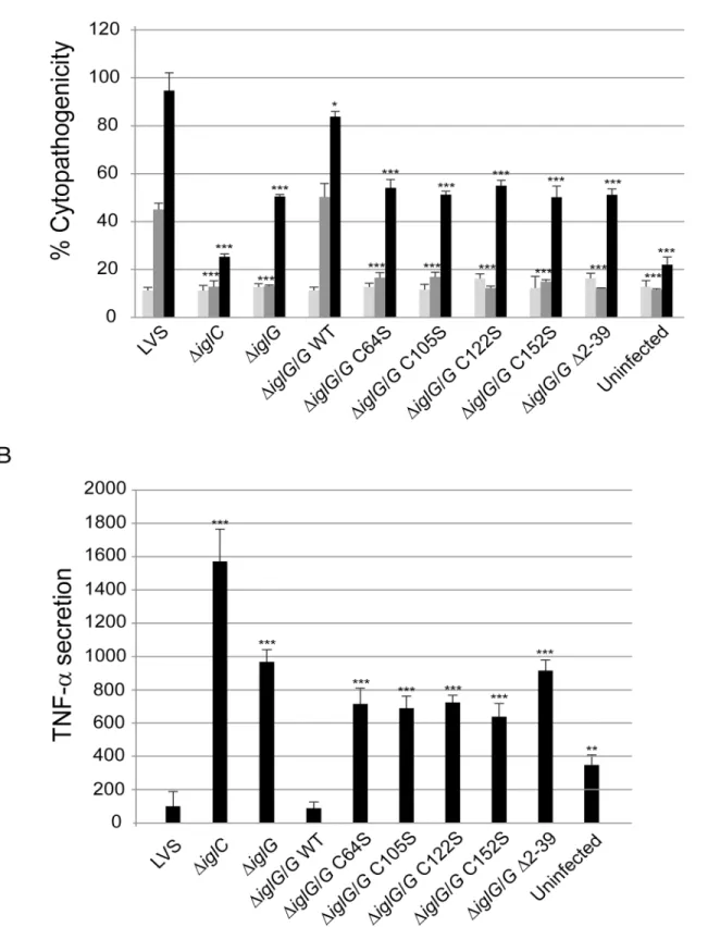 Fig 8. The conserved cysteines and the first 39 residues of the N-terminal extension of IglG are required for IglG function in LVS