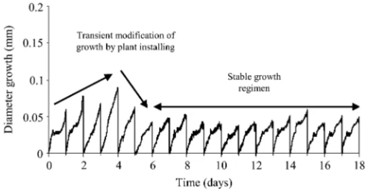 Figure 2. Representative example of diameter growth of a control plant.