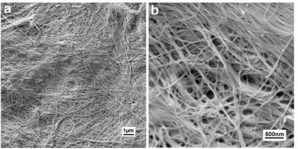Figure 6. Aqueous suspensions of TEMPO-mediated oxidation and nanofibrillation of bacterial  cellulose (TOBC) nanofibrils covalently equipped with GEA-type CDs (a, b) and nanopaper prepared  therefrom (c, d) at daylight (a, c) and UV excitation (the CD-fre