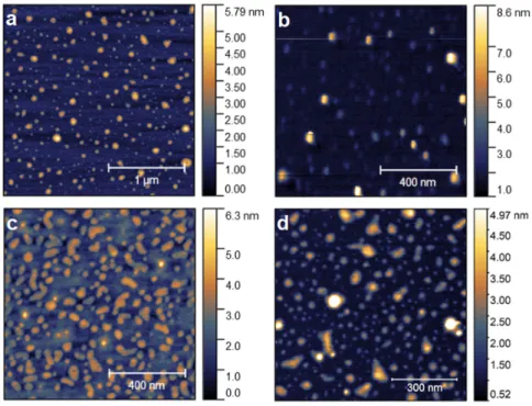 Figure 1. Atomic force microscopy (AFM) images of LEA CDs (a), GEA CDs (b), CAU CDs (c) and  LU CDs (d)