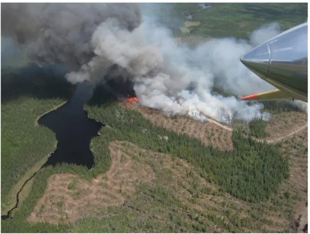 Figure 2. Smoke is the main visible signature of fires in daylight. If canopy cover permits, flame can often be directly viewed, as in this photograph.