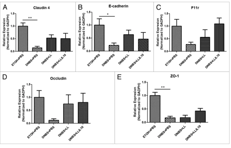 Figure 4. apical junction proteins expression in a DNBs low-grade inflammation model. control non-inflamed (etOh + PBs), control inflamed (DNBs+PBs),  LL-treated mice (DNBs+LL), and LL-IL10-treated mice (DNBs+LL-IL10) (n = 6)