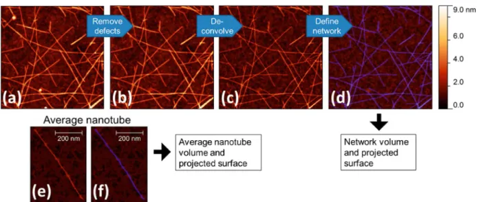 Figure 3. Analysis method outline based on the Gwyddion SPM analysis software: (a) Flattened image of a nanotube network