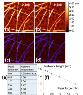 Figure 4. AFM height depends on the peak force applied by the tip during imaging: (a,b) Representative 300 × 300 nm 2 images of the same area of a nanotube network acquired with a di ﬀ erent peak force of (a) 0.5 and (b) 9.6 nN