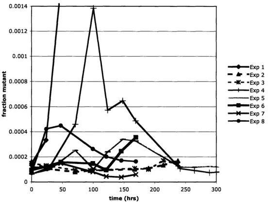 Figure 3:  Fraction of cells  that are mutant versus time in chemostat  cultures.