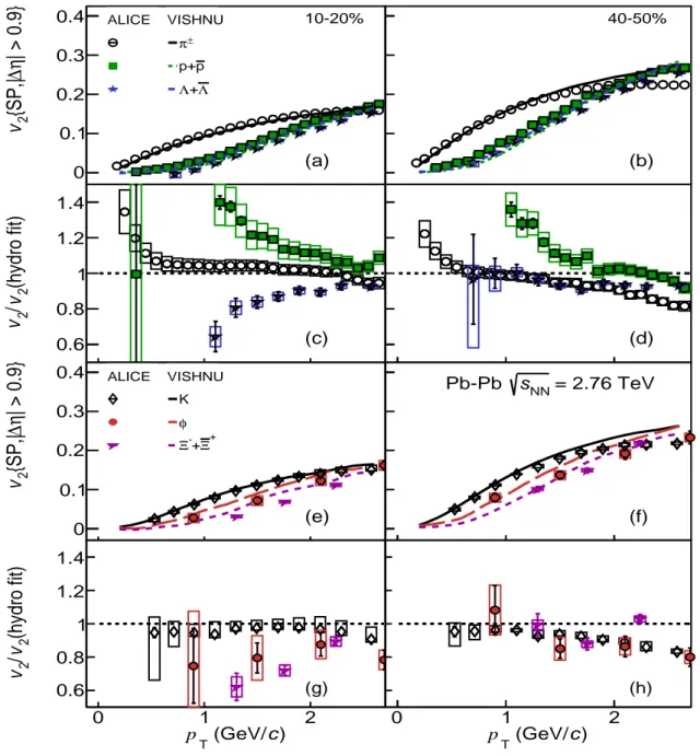 Fig. 6: The p T -differential v 2 for different particle species in (a), (b), (e), (f), measured with the scalar product method with a pseudo-rapidity gap | ∆ η | &gt; 0.9 in Pb–Pb collisions at √ s NN = 2.76 TeV, compared to theoretical, hydrodynamic calc