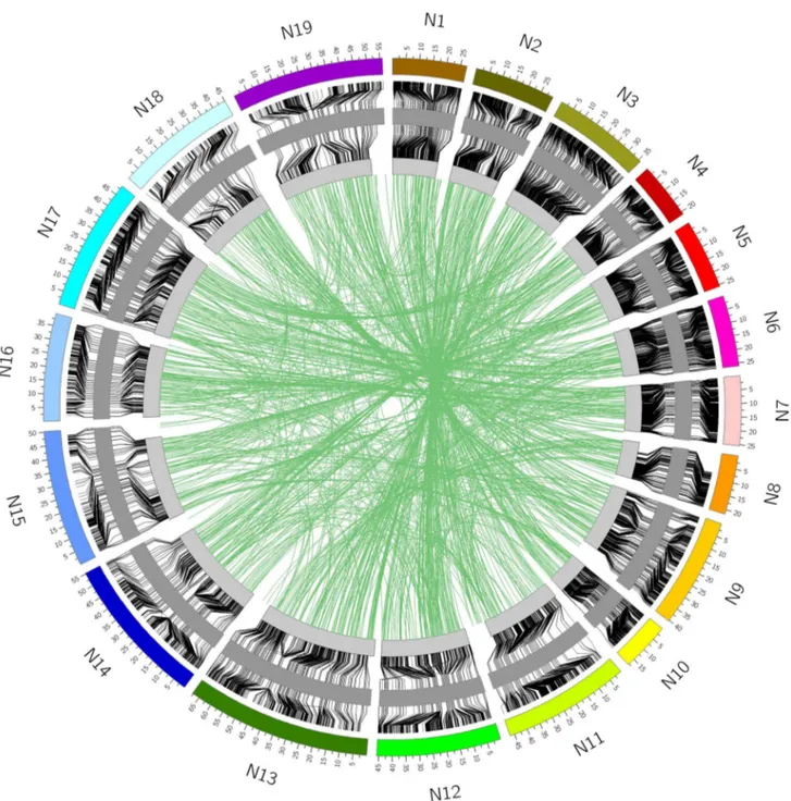 Fig. 4    Relationship between the physical and genetic positions  of the SNP loci in B