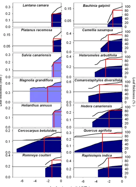 Figure 3. Plots of leaf thickness shrinkage versus C leaf for 14 species of diverse leaf form and  tex-ture and drought tolerance; a typical plot is  pre-sented for each species