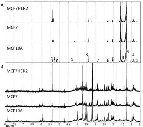 Figure 3. Spectra of lipophilic (A) and hydrophilic (B) metabolic extracts from MCF10A, MCF7 and MCF7HER2 cells incubated under different treatment conditions in different biological replicates measured here