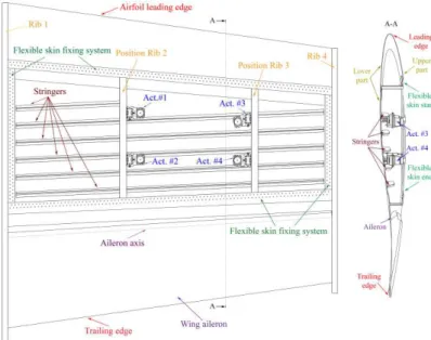 Figure 3: Wing structure and actuations lines positions 