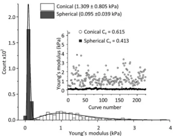 Fig. 7 displays the  t Young's modulus values using 250 force curves measured on NB4 cells