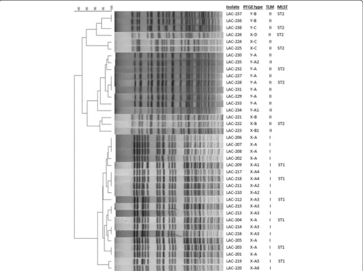 Fig. 1 The dendrogram of PFGE profiles of the 38 A. baumannii isolates and comparison of PFGE types, trilocus multiplex PCR types and MLST sequence types