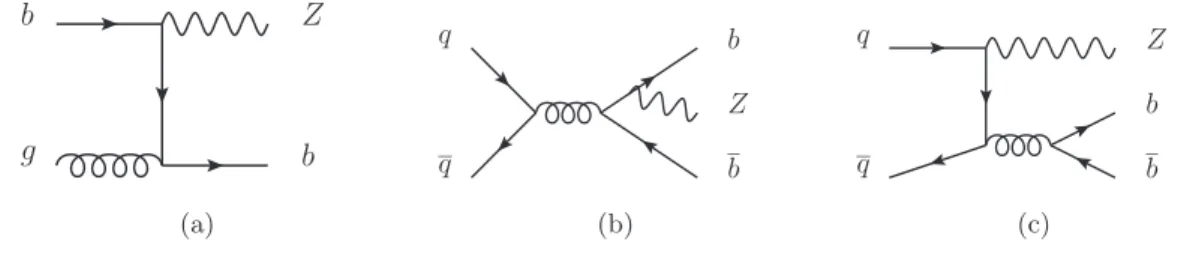 Figure 1. Leading order Feynman diagrams contributing to Z+b-jets production. Process 1(a) is only present in a 5FNS calculation, while 1(b) and 1(c) are present in both the 4FNS and 5FNS calculations.