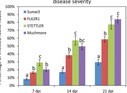 Fig 1. Disease severity levels in four wheat varieties: Sumai3, FL62R1, Stettler, andMuchmore