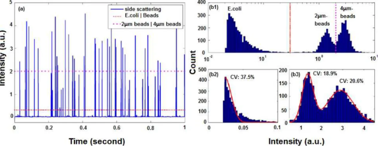 Figure 9. Data analysis results of a mixture of beads and cells flowing in an optofluidic microflow cytometer