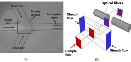 Figure 2. Reported hydrodynamic focusing methods in a microflow cytometer. (a) A typical structure of 2D hydrodynamic focusing
