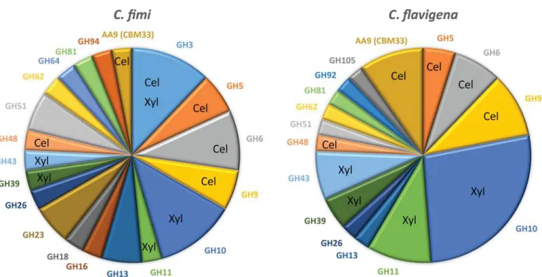 Fig 4. Summary of the observed CAZyme content. In order to facilitate visual comparison of the supernatant CAZymes, we summarized the content by enzyme family in a pie chart