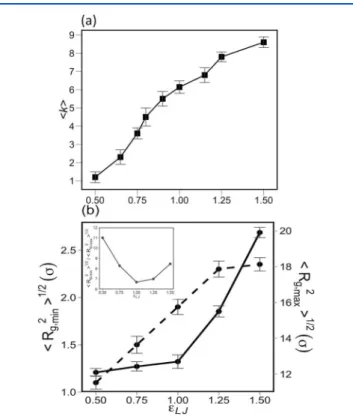 Figure 4. (a) Change in average aggregate size, ⟨k⟩, as a function of the interaction parameter ε LJ between apolar beads