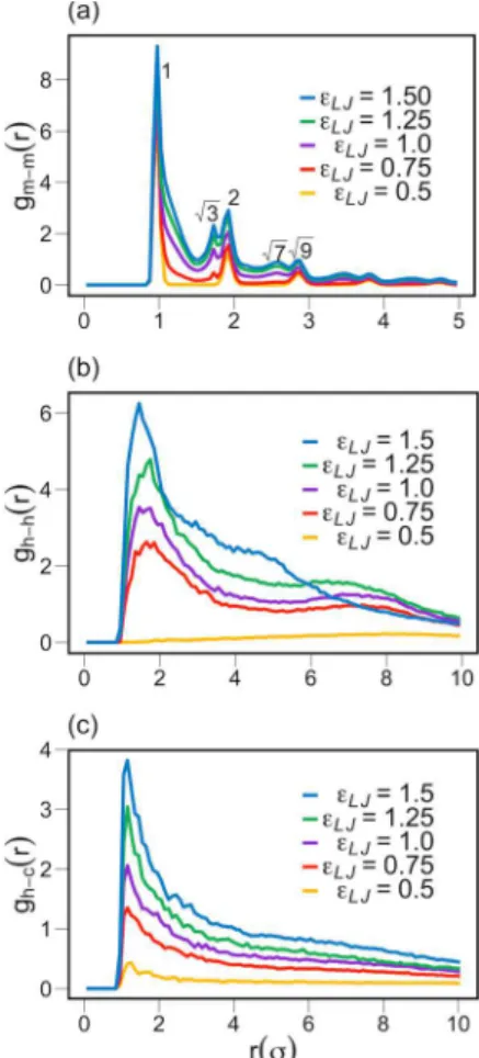 Figure 5 shows the RDFs of apolar backbone monomers, g m−m (r), anionic headgroups, g h−h (r), and between headgroups and counterions, g h−c (r), at di ﬀ erent values of ε LJ 