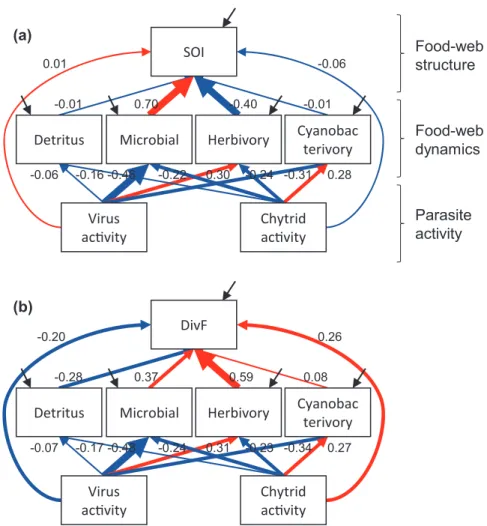 Fig. 6 Summary diagram of the effects of the parasite activity (virus and chytrids) on the dynamics of food web dynamics and food web structure, from structural equation modeling (SEM)
