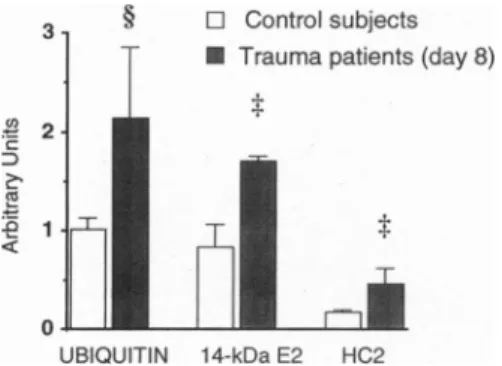 FIG. 4. Effects of head trauma on abundance of mRNAs encoding