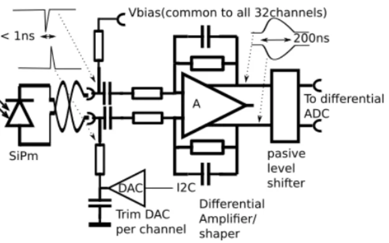 Figure 4 . A schematic block diagram of the analogue electronics in the SoLid detector.