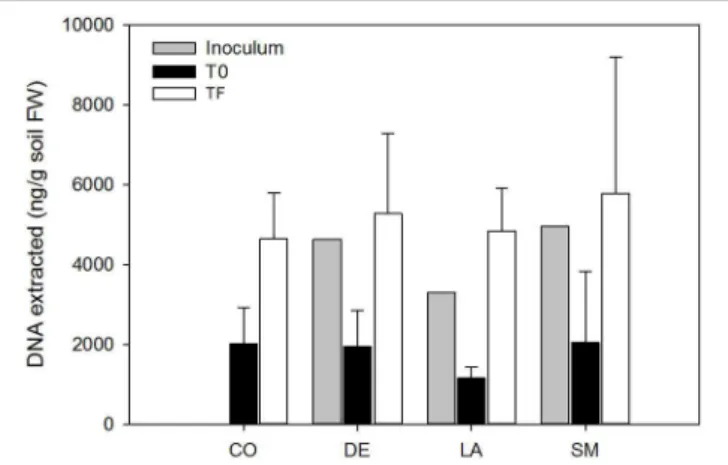 FIGURE 1 | DNA yields from bulk and willow rhizosphere soil samples taken at T0 and TF (after 100 days) for CO, DE, SM, and LA treatments.