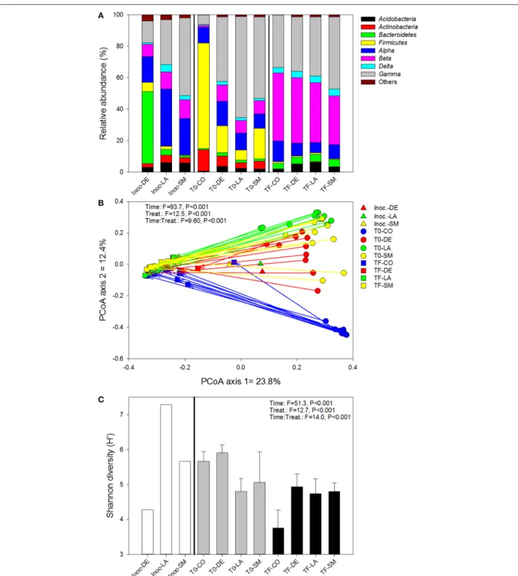 FIGURE 4 | Bacterial community composition (A), structure (B), and diversity (C) for bulk and willow rhizosphere soil samples taken at T0 and TF (after 100 days) for CO, DE, SM, and LA treatments and the original inocula